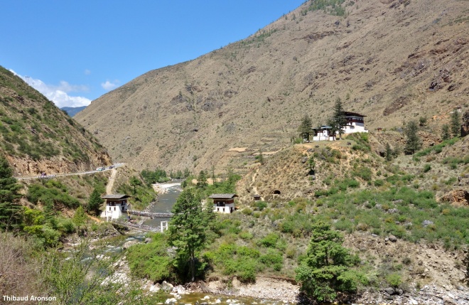 A typical landscape between near Thimphu, the capital, showing anthropized pastureland, and the chir pine that invades it when it is abandoned.