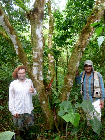 Miguel and Juan Abel at work next to a particularly good-looking bromeliad (Guzmania zahnii). Photo by Karen Holl.
