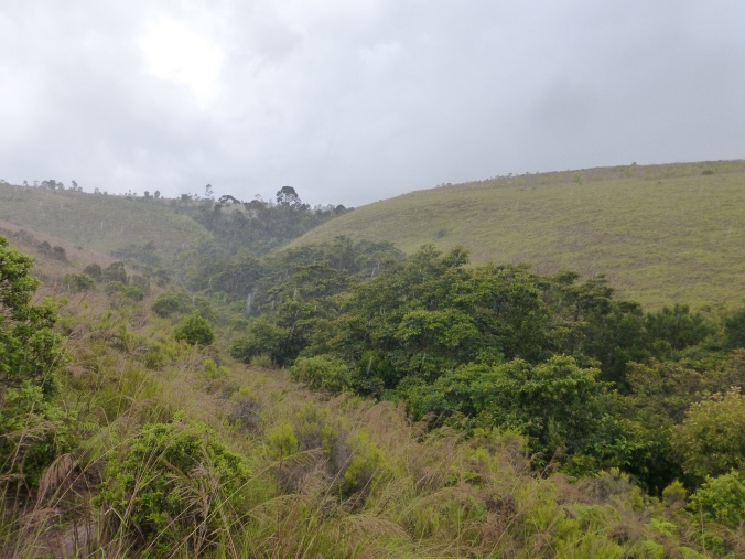 Ankafobe Forest South-facing on left.JPG
